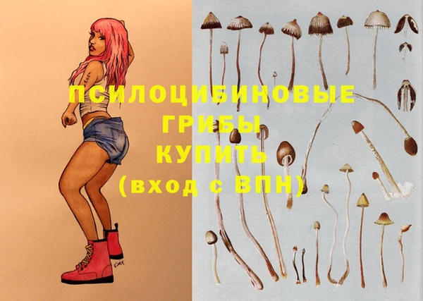 соль курить ск Приозерск